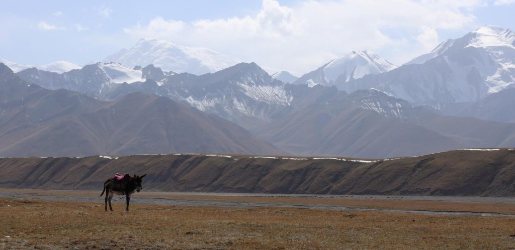 Pamir-Highway Teil 1: Wo wir einfach&nbsp;sind!